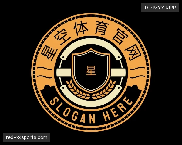 介绍星空体育app